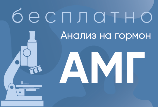 Анализ на гормон АМГ бесплатно