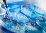 Преимплантационная генетическая диагностика Преимплантационная генетическая диагностика