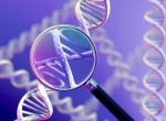 Генетическая диагностика при неразвивающейся беременности Генетическая диагностика при неразвивающейся беременности